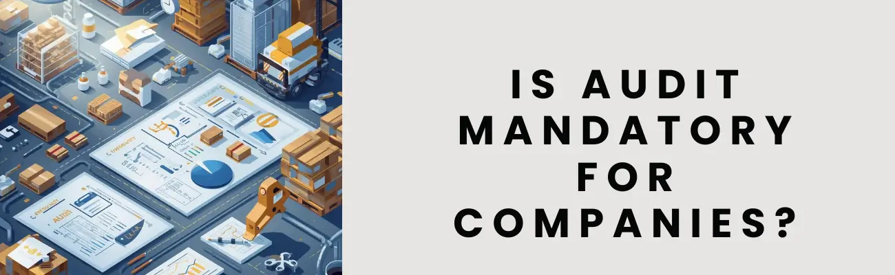 Is Audit Mandatory for All Companies? Legal Rules & Exceptions Explained