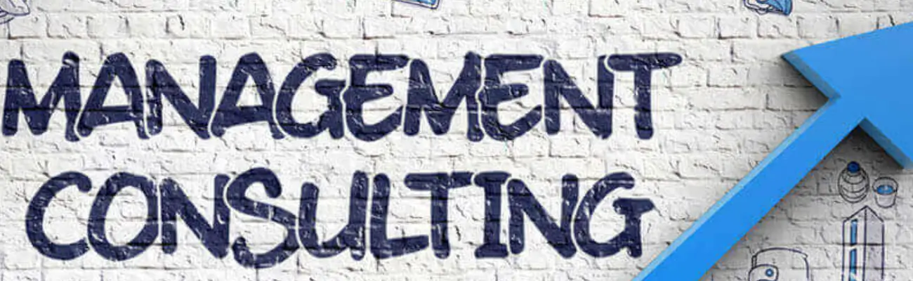 how to become a management consultant