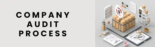 Company Audit: How the Process Actually Works for Businesses