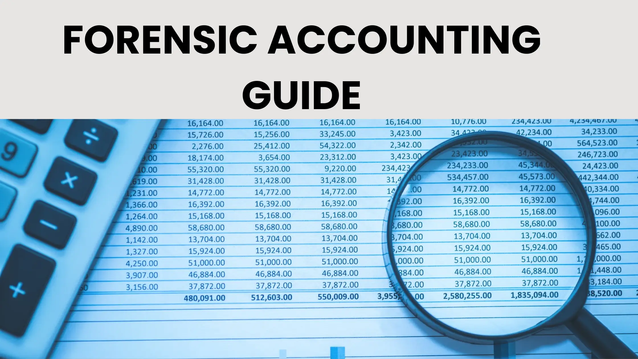 Forensic Accounting Guide: Meaning, Steps, and Career Scope for CAs in India
