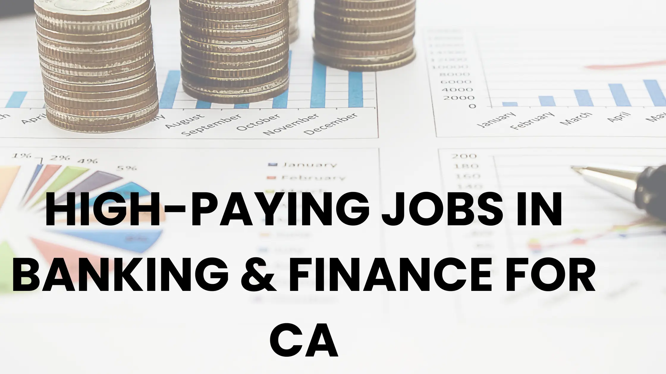 High Paying Finance Jobs in Banks for CA in India 2025
